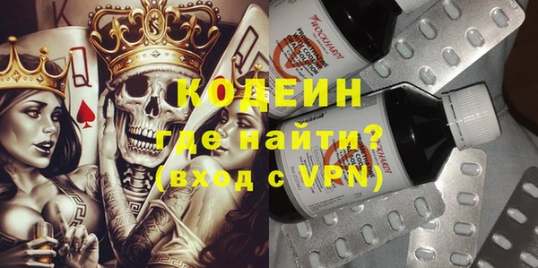 шишки Переславль-Залесский