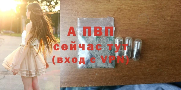 шишки Переславль-Залесский
