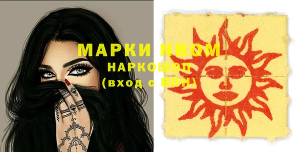 шишки Переславль-Залесский