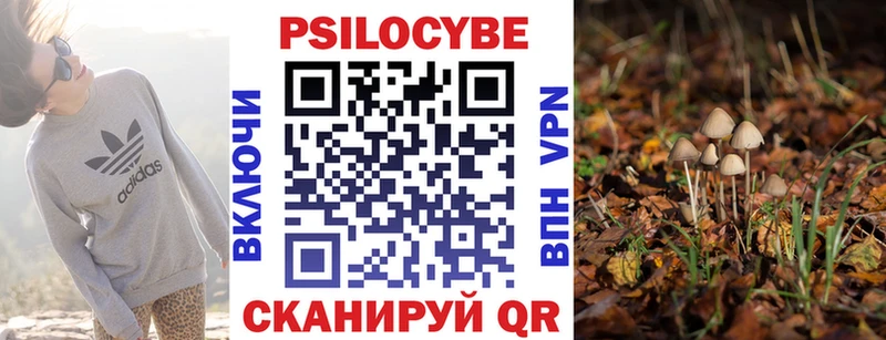 Галлюциногенные грибы MAGIC MUSHROOMS Сердобск