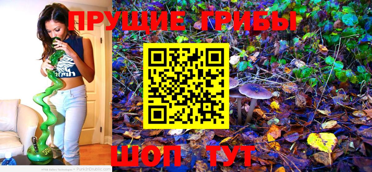 Псилоцибиновые грибы Psilocybine cubensis Сердобск