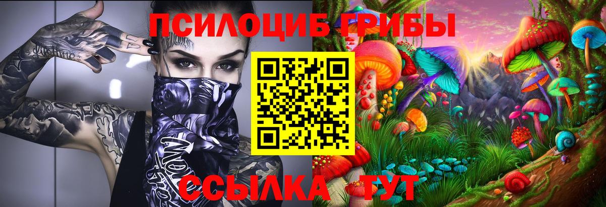 Галлюциногенные грибы прущие грибы Сердобск
